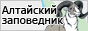 The Altai zapovednik
